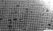 哥伦比亚大学工程师3D打印自组装DNA，使用生物分子代码大规模生产纳米级设备