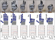 Cybosense和SenseGlove合作开发新型3D打印智能手套
