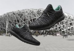 <b>չʾ¿3DӡЬUltraBOOST Nest</b>