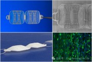 使用3D打印将可控3D变形引入静电纺丝纤维