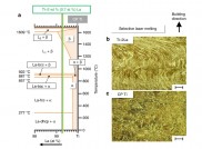 Nature Communications：用于3D打印的包晶钛合金
