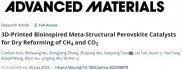 3D打印+超结构催化剂！西安交大发布最新研究成果