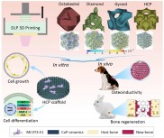 3D打印磷酸钙陶瓷孔隙架构与骨诱导性的关联及优化策略