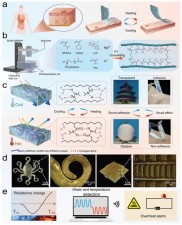 3D打印制备热响应性NAPA水凝胶：光与粘附性能协同及应用探索