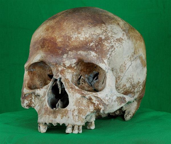 3d打印在考古上的应用:还原500年前沉船上的头骨