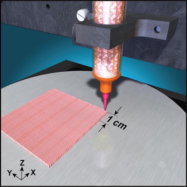 LLNL4Dӡ轺״䣬װõѡ