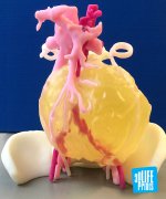 <b>3DӡӢ6꺢гѶȶ</b>