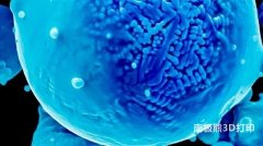 使用激光粉末床熔融和合金制造无缺陷零件的最新研究