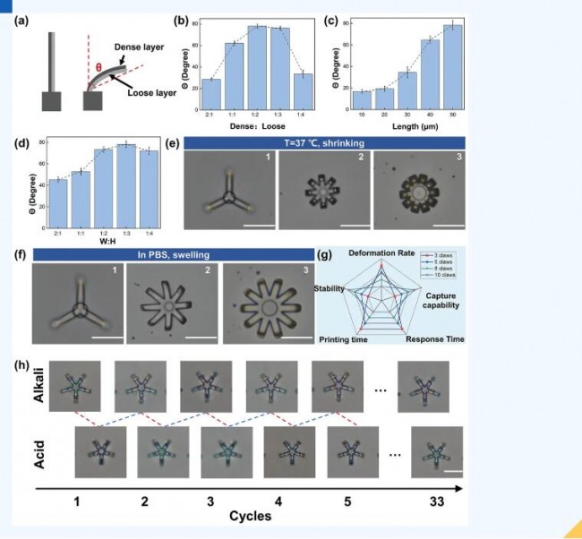 article_Nano_2